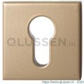 GPF Bouwbeslag Anastasius 9386.A4 Outside GPF9386.A4 veiligheidsbuitenrozet vierkant 54x54x12,5 mm SKG*** Champagne blend GPF9386A4O199