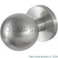 GPF Bouwbeslag RVS 9854.09-00 S5 GPF9854.09-00 RVS mat kogelknop S5 50 mm met wisselstift op rond rozet RVS geborsteld GPF9854090400-00