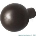 GPF Bouwbeslag Anastasius 9854.A1 S5 kogel knop 50 mm voor veiligheidsschilden vast met wisselstift Dark blend GPF9854A10400