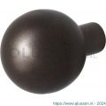 GPF Bouwbeslag Anastasius 9854.A1 S5 kogel knop 50 mm voor veiligheidsschilden vast met wisselstift Dark blend GPF9854A10400