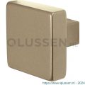 GPF Bouwbeslag Anastasius 9856.A4 S5 vierkante knop 53x53x16 mm voor veiligheids schilden vast met wisselstift Champagne blend GPF9856A40400