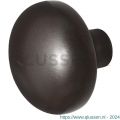 GPF Bouwbeslag Anastasius 9857.A1 S5 Paddenstoel knop 65 mm voor veiligheids schilden vast met wisselstift Dark blend GPF9857A10400