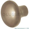 GPF Bouwbeslag Anastasius 9859.A4 S5 Paddenstoel knop 52 mm voor veiligheids schilden vast met wisselstift Champagne blend GPF9859A40400