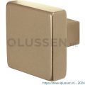 GPF Bouwbeslag Anastasius 9948.A4 S2 vierkante knop 53x53x16 mm vast met knopvastzetter Champagne blend GPF9948A40400