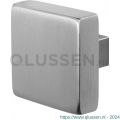 GPF Bouwbeslag RVS 9950.09 S1 vierkante knop 60x60x16 mm draaibaar met krukstift RVS geborsteld GPF995009200