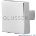 GPF Bouwbeslag RVS 9950.49 S1 vierkante knop 60x60x16 mm draaibaar met krukstift RVS gepolijst GPF995049200