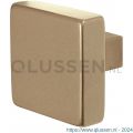 GPF Bouwbeslag Anastasius 9950.A4 S2 vierkante knop 60x60x16 mm vast met knopvastzetter Champagne blend GPF9950A40400