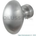 GPF Bouwbeslag RVS 9951.09 S1 Ei-knop 62 mm draaibaar met krukstift RVS geborsteld GPF9951090200