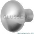 GPF Bouwbeslag RVS 9959.09 S2 Paddenstoel knop 52 mm vast met knopvastzetter RVS geborsteld GPF995909400