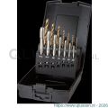 International Tools 29.195 Eco Pro HSS-E set machinetappen DIN 371/6 (combinatie) 22.195-22.196 M3-M12 en 11.490 25-10,2 mm 29.195.2500
