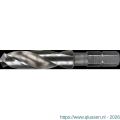 International Tools 11.120 ECO HSS spiraalboor met 1/4 inch (635 mm)-zeskant bitopname 20 mm 11.120.0200