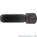 Phantom 85.062 onderdelen en toebehoren spanschroef (vierkant) C + D1 85.062.4006
