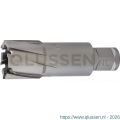 Phantom 62.220 HM-tip kernboor snijdiepte 55 mm 12 mm 62.220.1200