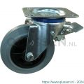 Protempo serie 11-12 zwenk transportwiel plaatbevestiging dubbele rem voorloop stalen gaffel PP velg standaard grijze rubberen band 250 mm rollager 211.252.126.300