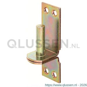 GAH Alberts plaatduim stift op plaat DI-haak geel verzinkt 10x90x30 mm 311155