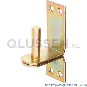 GAH Alberts plaatduim stift op plaat DII geel verzinkt 10x90x30 mm 311353