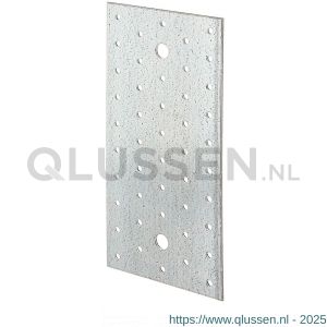 GAH Alberts koppelplaat verzinkt 200x100x2 mm 332020