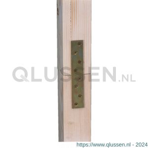 GAH Alberts verbindingsplaat sendzimir verzinkt 170x30 mm 333904