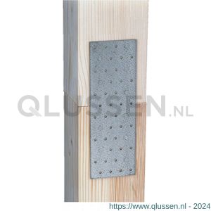 GAH Alberts koppelplaat verzinkt 200x80x2 mm 331993