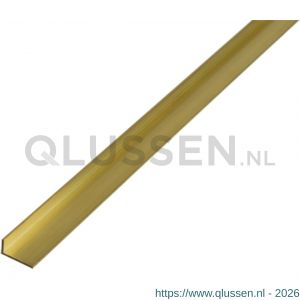 GAH Alberts hoekprofiel messing 12x10x1 mm 1 m 470999