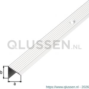 GAH Alberts trapbeschermingslijst aluminium zilver geeloxeerd 20x17,5x1 mm 2 m 471989