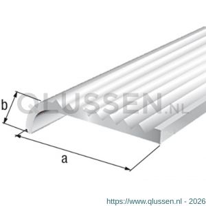 GAH Alberts trapbeschermingslijst aluminium zilver geeloxeerd 23x5x2,0 mm 2 m 471996