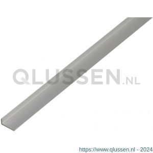 GAH Alberts kantbeschermingsprofiel aluminium zilver 19x8 mm 1 m 475154