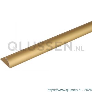 GAH Alberts afsluitprofiel afdeklijst aluminium goud geeloxeerd 24,5x13,5 mm 1 m 476564