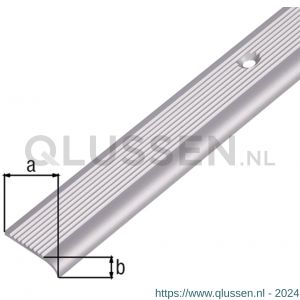 GAH Alberts trapbeschermingslijst aluminium brons geeloxeerd 23x5x2 mm 1 m 476977