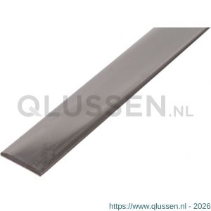 GAH Alberts platte stang RVS 20x2 mm 1 m 485344