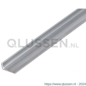 GAH Alberts hoekprofiel RVS 20x10x1,5 mm 2 m 487430