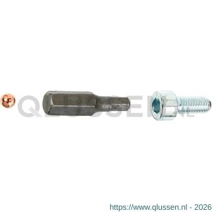 GAH Alberts schroeven-set voor afrasteringen Secofix 8955937 verzinkt 1 stuk 554194