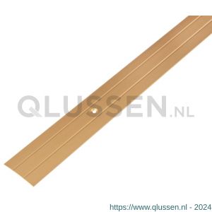 GAH Alberts overgangsprofiel aluminium goud verzonken schroefgaten 38 mm 0,9 m 476304