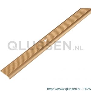 GAH Alberts trapbeschermingslijst aluminium goud geeloxeerd 23x5,0x2 mm 1 m 476960