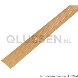 GAH Alberts overgangsprofiel aluminium goud verzonken schroefgaten 38 mm 2 m 479510