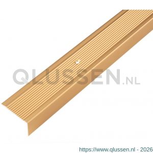 GAH Alberts trapbeschermingslijst aluminium goud geeloxeerd 45x23x2,7 mm 1 m 484019