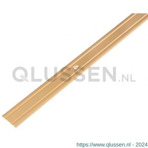 GAH Alberts overgangsprofiel aluminium goud verzonken schroefgat 25 mm 2 m 484170