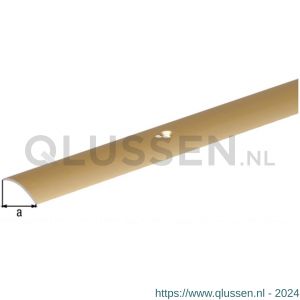 GAH Alberts overgangsprofiel staal messing 30 mm 0,9 m 476007