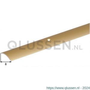 GAH Alberts overgangsprofiel staal messing 40 mm 0,9 m 476014