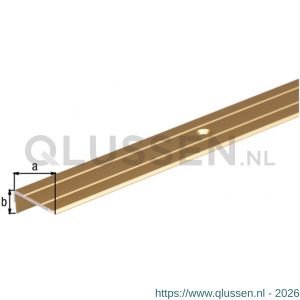 GAH Alberts trapbeschermingslijst aluminium goud geeloxeerd 24,5x10x1,5 mm 1 m 476663