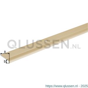 GAH Alberts trapbeschermingslijst aluminium goud geeloxeerd 23x5,0x2 mm 1 m 476960