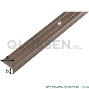 GAH Alberts trapbeschermingslijst aluminium brons geeloxeerd 24,5x10x1,5 mm 2 m 477172