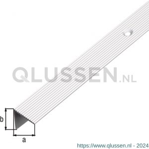 GAH Alberts trapbeschermingslijst aluminium zilver geeloxeerd 21x21x1,8 mm 2 m 477356