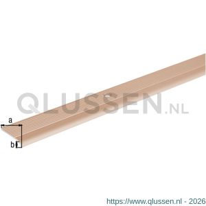 GAH Alberts trapbeschermingslijst aluminium brons geeloxeerd 23x5,0x2,0 mm 2 m 477479