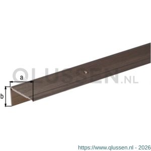 GAH Alberts trapbeschermingslijst aluminium brons geeloxeerd 45x23x2,7 mm 1 m 484026