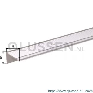 GAH Alberts trapbeschermingslijst aluminium zilver geeloxeerd 45x23x2,7 mm 2 m 484040