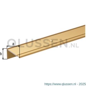 GAH Alberts trapbeschermingslijst aluminium goud geeloxeerd 45x23x2,7 mm 2 m 484057