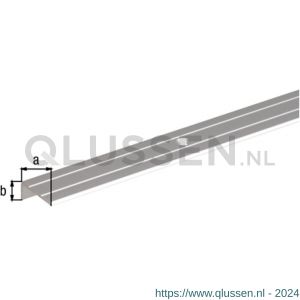 GAH Alberts trapbeschermingslijst geboord aluminium zilver geeloxeerd 24,5x10 mm 1 m SB 490133