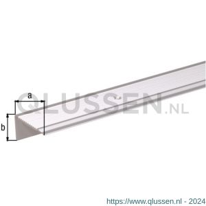 GAH Alberts trapbeschermingslijst geboord aluminium zilver geeloxeerd 43x23 mm 1 m SB 490447