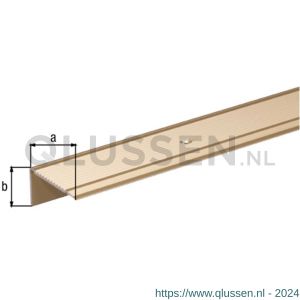 GAH Alberts trapbeschermingslijst geboord aluminium zandkleur geeloxeerd 43x23 mm 1 m SB 490454